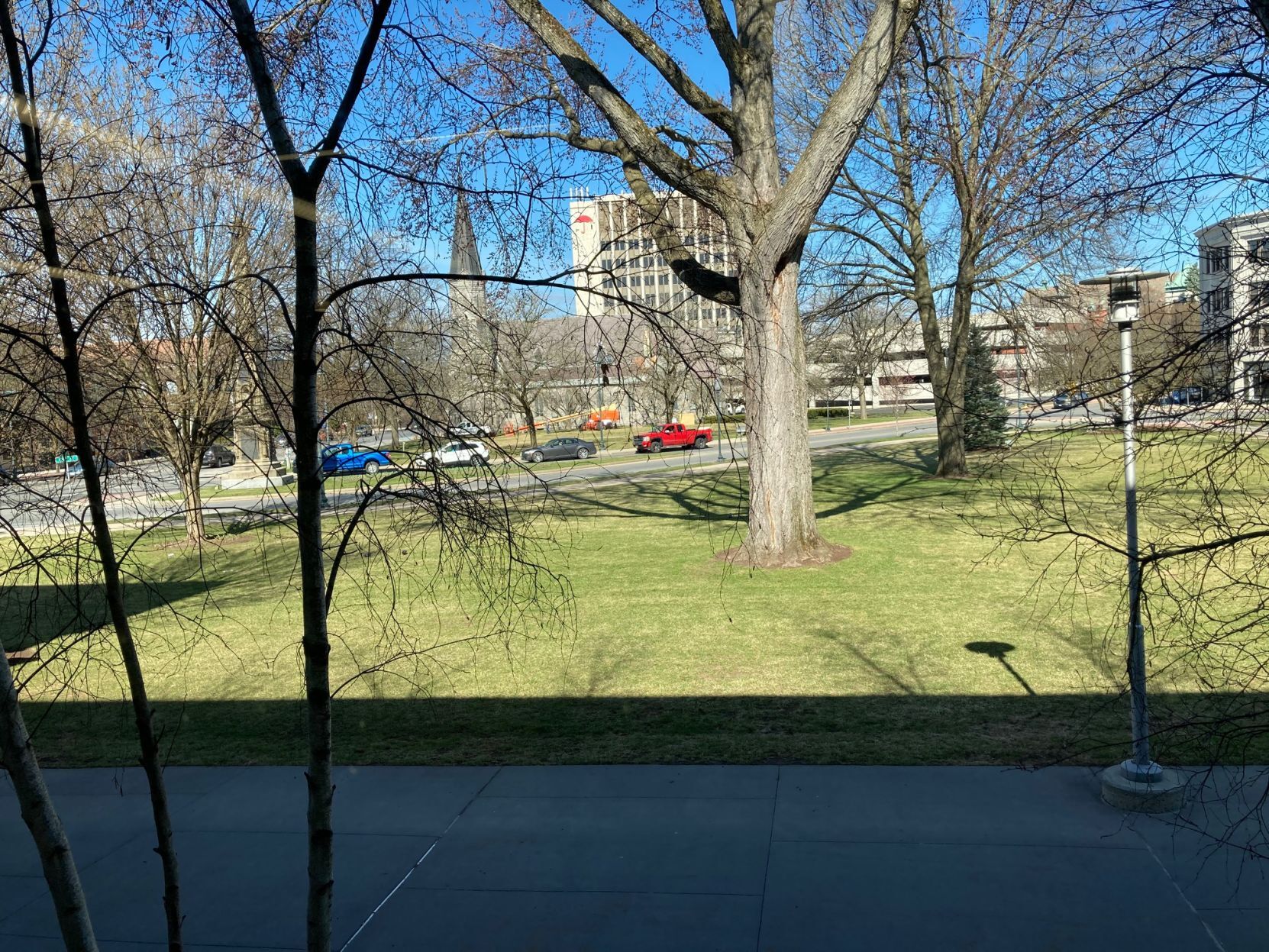 Library window